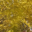 송탄 어울림 부대찌개 이미지