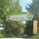 용인시립골드 테니스장 이미지