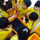 이솝예술어린이집 이미지