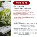 초이스필름 | [본식DVD] 그리다필름 계약 후기(내돈내산/짝궁코드 공유)