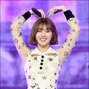 행복한머리 이미지