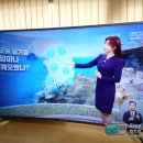 삼일미디어 이미지