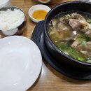 날 데려가주 개 이미지