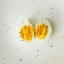 라이언 휘트니스 이미지