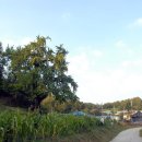 도당3리 이미지