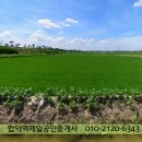 32번국도 이미지
