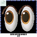 신갈동 애견카페 감성바베큐 &amp; 셀프바베큐 가격 및 후기 추천 리뷰 주차 예약 알아볼까요