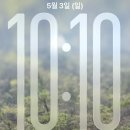 디자인런 | KB스타런 2026 10km 우중런 후기 준비물 짐보관 여의도 코스 총정리