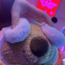 땅이게임랜드 이미지