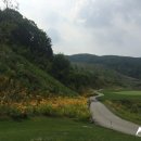 애플골프클럽 이미지