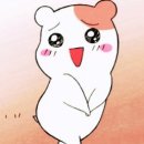 깍쟁이 이미지
