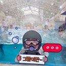 우주카월드 | 하이원CC 하이랜드/운탄고도 케이블카/ 워터월드/ 하이원 팰리스 주니어 스위트 온돌