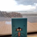 토리네민박 이미지