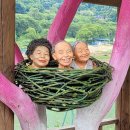 더맑은이현마을 이미지