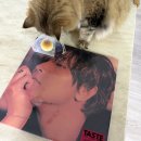 햇빵 | 11월 일상도 9월 10월 일상과 다를 게 없다..^_^