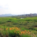 이순신장군 백의종군로 이미지