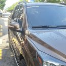 브라운스프링 이미지