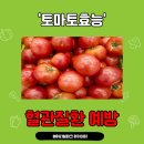 에어리얼파크아카데미