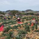 (주)김포골프파크 이미지