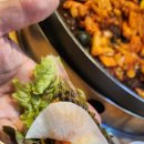 (닭치고)춘천전통닭갈비 네이버블로그