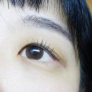 라보떼래쉬 이미지