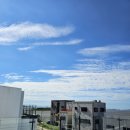 젤리엘, 쁘띠엘 이미지