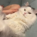 (사)서울신체장애인복지회 | 연말 채워가기 12.02-12.08