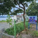 하얀천국 | 바닷가 앞에서 보내는 완벽한 하루, &#39;서천하얀펜션&#39; 후기🌿— 가족과의 힐링을 위한 서천독채펜션 체험기
