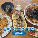 평택 오성 맛집 삼동소바 내돈내산 후기 안성천뷰