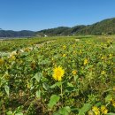 낙동가람 이미지