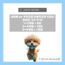 오렌다 핏 이미지