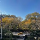 인 더 베이글(In the Bagel) | [모녀뉴욕여행] 1,2일차 :: The frick collection 미술관 / Apollo bagel / Raku 우동 / Birdland 재즈바