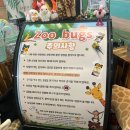 어린이뮤지컬 친절한 돼지씨 | 인천 아이랑 가볼만한곳 실내동물원 쥬벅스