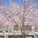 용평사거리 이미지