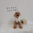 땡자네 묭실 이미지