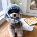 옷만들기 중고급 이미지