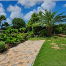 협재통나무집 이미지