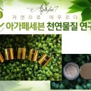 아가페세븐 천연물질연구소