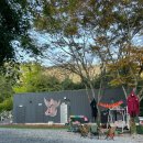 부곡6길 31-1 | 대구 부산 근교 캠핑장 추천 | 부곡허브농원캠핑장(내돈내산)