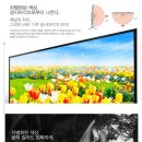 제우스 55인치 4K UHD TV 스탠드 미개봉새상품 52만원(기사배송설치포함,삼성정품패널) 이미지