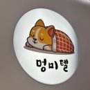 부천호텔 | 부천 최고의 애견호텔, 우리 아이의 완벽한 쉼터! &#34;부천애견호텔 멍미텔&#34; 후기