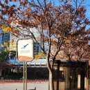 반송동248 이미지