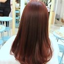 만작 | 드디어 꽂혔다! 내 머릿결에 심폐소생술 해준 역대급 샵 후기