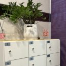 수테라피 | 광교 체형관리 전문 수테라피 마사지샵 솔직 후기