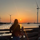 신창 그리고 제주 | 제주 혼자 여행 | 제주도 서쪽 신창풍차해안도로, 싱계물공원에서 일몰 보기 💦