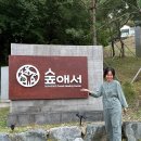 양산 수 사우나 | 경남 양산 여행 필수 코스 | &#39;숲애서&#39; 부모님과 여행 추천 / 1박2일 후기 : 부모님과 여행 추천