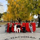 경북대학교 캠퍼스 이미지