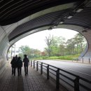 상상터널 이미지