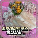 속초 동명항 활어회센터 솔직후기｜홍천상회 가격·대기·맛 정리