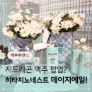 빅-에이 | 지드래곤맥주 히타치노네스트 데이지에일 더현대 팝업 후기